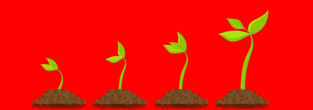 Blog_doorgroeien_hoe_doe_je_dat