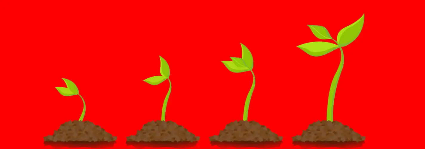 Blog_doorgroeien_hoe_doe_je_dat